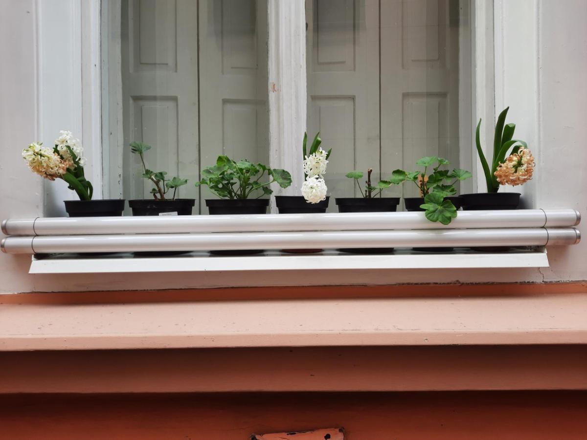 Downtown Prague Minimalistic Room In Flatshare Extérieur photo